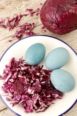 The concept of staining eggs with natural means. Eggs stained in broth of red cabbage.