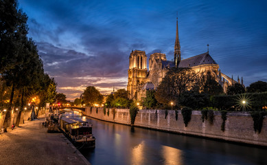 Gorgeous Notre Dame cathedral at night with view of Seine river and bridge, Paris, France