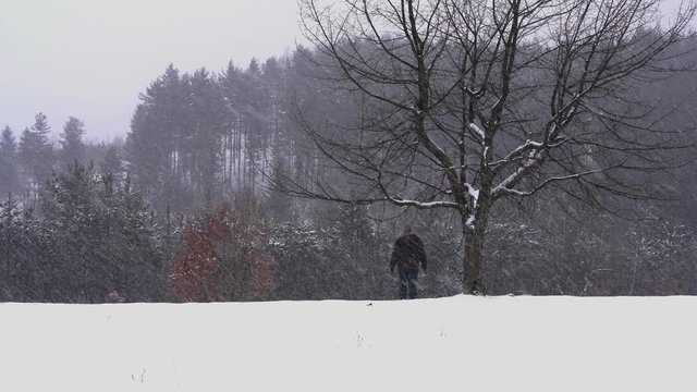 Man held branch a lone tree in snow and goes in forest - (4K)