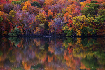 Obraz premium Fall colors in Quebec, Canada