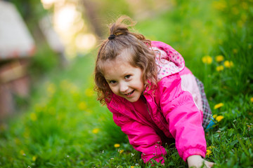 girl in pink jacket crawls along the green grass with yellow dandelions. happy child is playing outside. Curly little girl smiles.