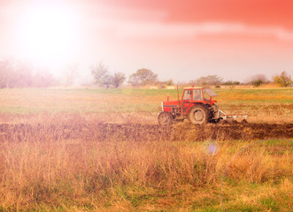 Fototapeta premium Farm Tractor in a field on a Farm at sunset
