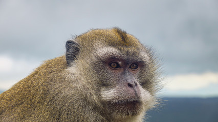 Exploring Mauritius Island in Mauritius