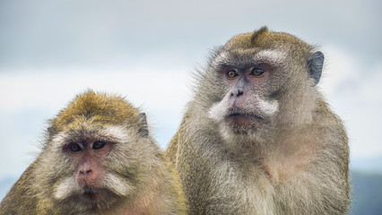 Exploring Mauritius Island in Mauritius