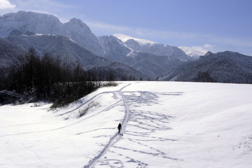 Pejzaż zakopiański