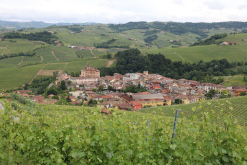 Fototapeta na wymiar Village of Barolo in Piedmont. Northern Italy