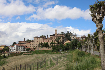 Fototapeta na wymiar Village of Neive in Piedmont. Northern Italy