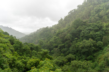 Kuranda Jungle, Scenic railway