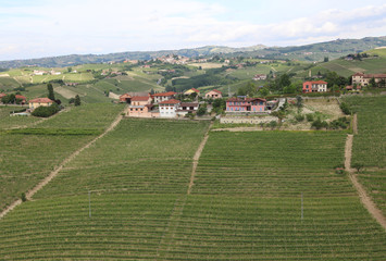 Fototapeta na wymiar Landscape near Barbaresco in Piedmont. Northern Italy