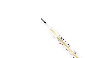 Thermometer on a white background