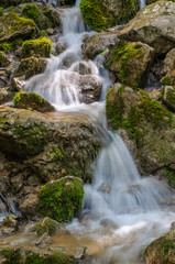 A view of the mountain stream flowing in cool streams along the rocks among the green grass and flowers. Summer, day.