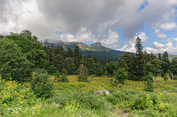 view from the plateau Lago-Naki to mountain Big Thach