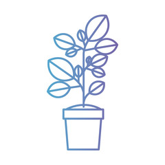 plant in pot isolated icon vector illustration design