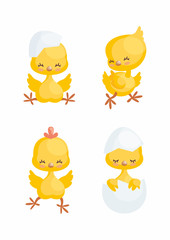 Cute little chickens in cartoon style. Vector illustrations set isolated on white background