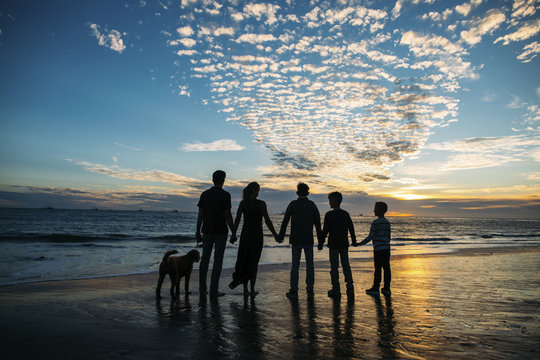 Rear view of family holding hands while standing on beach at sunset