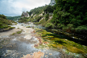 Fototapeta na wymiar Prehistoric landscape with geothermal springs, Rotorua, New Zealand