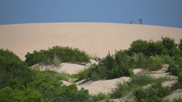 Jockeys Ridge State Park, Largest Sand Dune On East Coast Of USA