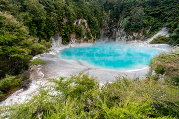 Prehistoric landscape with geothermal blue pool, Rotorua, New Zealand