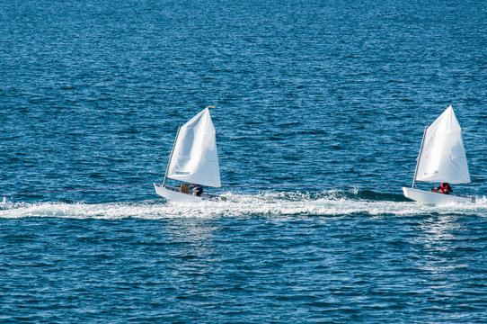 Optimist Sailboat During A Training