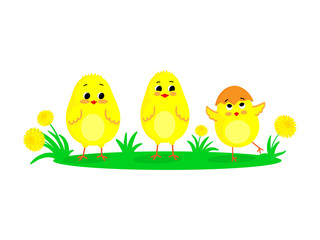 Obraz na płótnie Canvas Three little chickens on a white backgroung. Vector illustration.