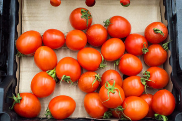 Ripe early spring bright red tomatoes background texture