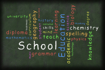 illustration of an education related words in different color written with a chalk on a green board