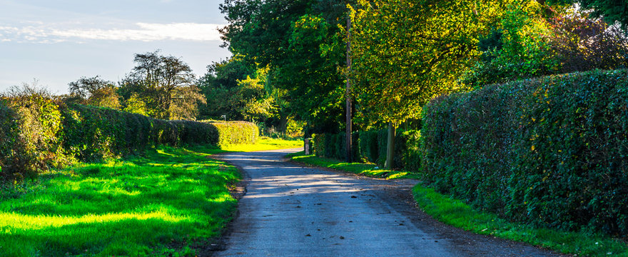 English Country Road On A Sunny Day, Lush Green Vegetation