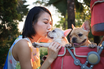 Woman kisses french bulldog puppy is pet stroller under evening sun's rays in a park.