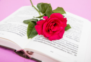 Rose on book