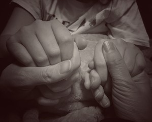 compassion