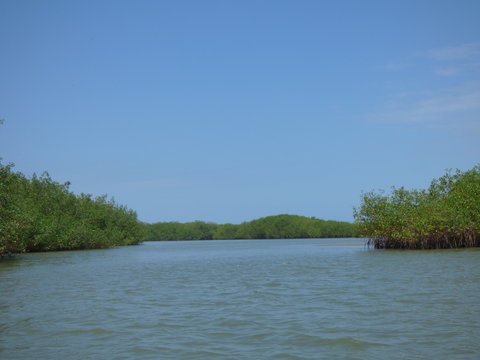 Manglares de Puerto Pizarro - Tumbes - Per&uacute;