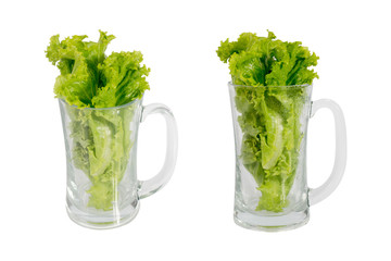 lettuce green in glass water in a hand isolated   on white background.