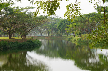 Fototapeta na wymiar Beautiful garden in February,Thailand.