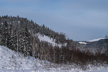 Winter landscape in the mountains with blue sky and snow-capped peaks and forest