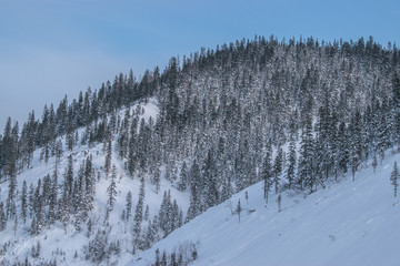 Winter landscape in the mountains with blue sky and snow-capped peaks and forest
