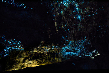 New Zealand Glow Worms in Waipu Cave