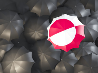 Umbrella with flag of greenland