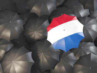 Umbrella with flag of netherlands