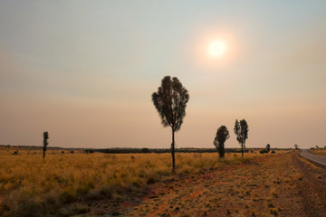 Sun obscured by smoke haze near the Lasseter Highway in the outback of the Northern Territory in Australia