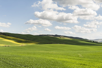 Fields, pastures and farmhouse