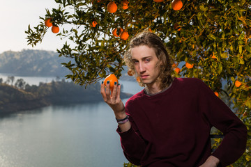 Fototapete bei efototapeten.de bestellen   