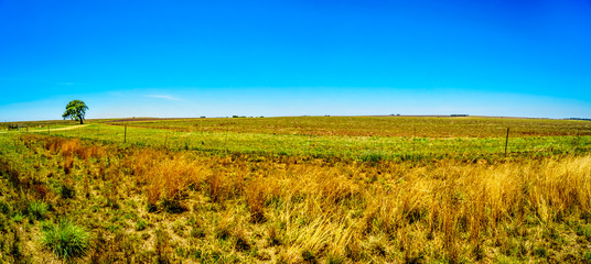 Panorama of the wide open farmland along the R39 in the Vaal River region of southern Mpumalanga province in South Africa