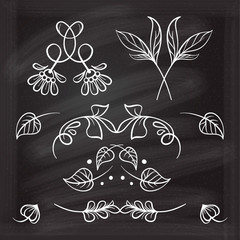 Hand drawn floral elements set on the chalkboard.