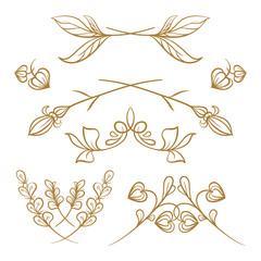 Vector hand drawn floral elements set.