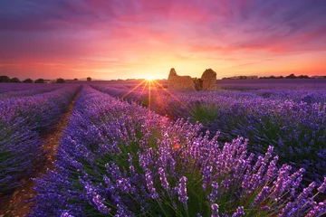 Foto auf Acrylglas Lavendel Lavendel, Provence, Frankreich