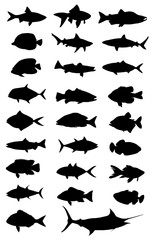 Obraz premium Fish Silhouettes