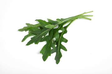 green fresh ruccola isolated on white background, close up studio shot