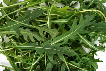 green fresh ruccola isolated on white background, close up studio shot