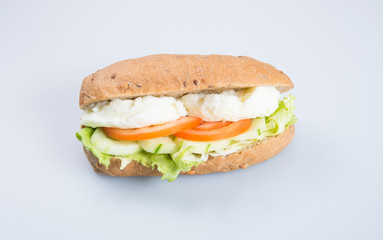 sandwich or tasty egg sandwich on background.