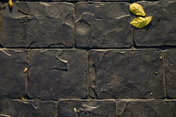 Brick wall background texture for 3D texture.